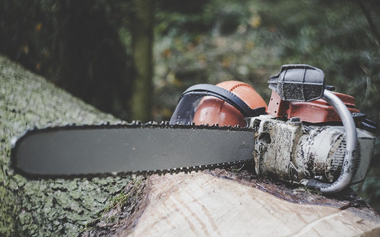 chainsaw, forestry, tree, felling, wood, forest, nature, tribe, timber, section, firewood, landscape, bark, deforestation, bio, plant, tree trunk, environment, afforestation, safety helmet, helmet, cut protection, chainsaw, chainsaw, deforestation, deforestation, deforestation, deforestation, deforestation