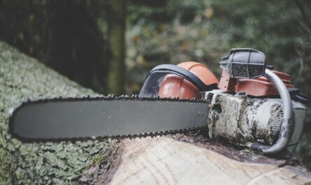 chainsaw, forestry, tree, felling, wood, forest, nature, tribe, timber, section, firewood, landscape, bark, deforestation, bio, plant, tree trunk, environment, afforestation, safety helmet, helmet, cut protection, chainsaw, chainsaw, deforestation, deforestation, deforestation, deforestation, deforestation